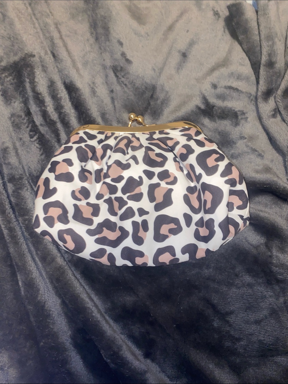 Leopard Print Kiss-Lock Clutch in Pink, Black, and White
